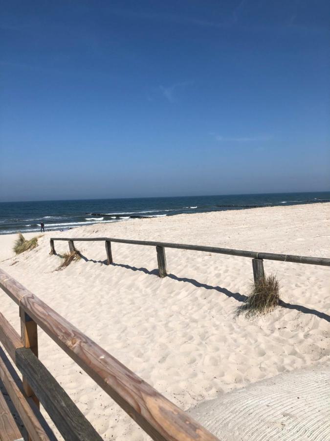 Haus Meerle Leilighet Zingst Eksteriør bilde